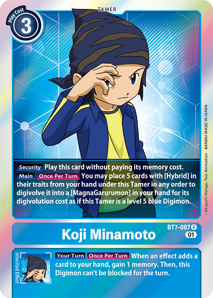 Koji Minamoto - Digimon